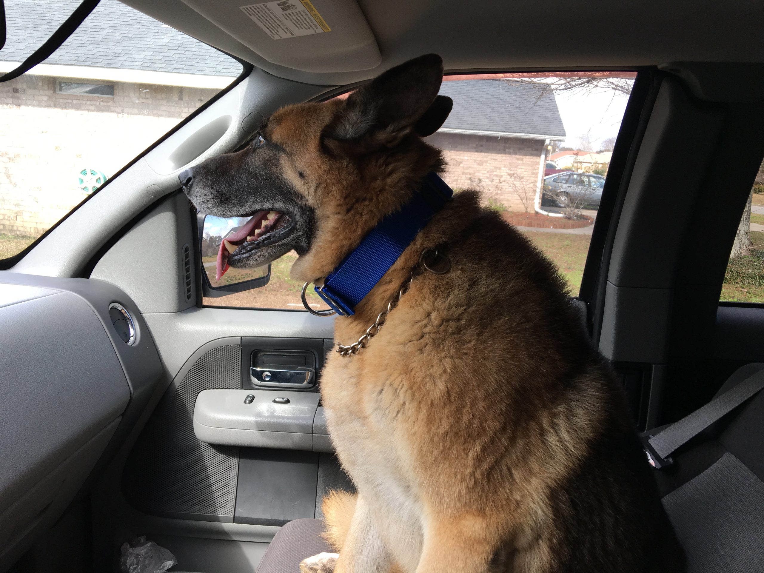 At the start of our day's jorney downtown pensacola